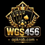wgs456