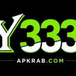 y333