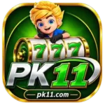 pk11