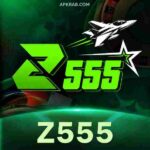 Z555-Game